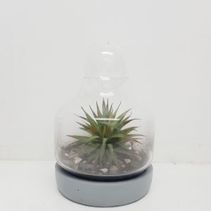MV018C-G : Santa Fe Small Concrete Glass Atrium with Glass Ball (H26cm) - Grey