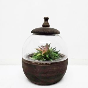 Freya Round Glass Atrium with Dark Wooden Lid (D20cm)