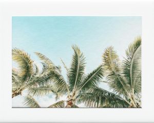 40x50cm Mounted Print : Palm Trees