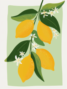 40x50cm Mounted Print : Bunch of Lemon Art