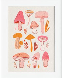 40x50cm Mounted Print :  Pink Sketch - Assorted Mushrooms