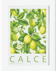 40x50cm Mounted Print :  Italian Edition -No.2 Calce _ Lime
