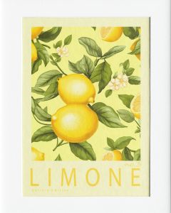 40x50cm Mounted Print :  Italian Edition - No.3 Lemone _ Lemon