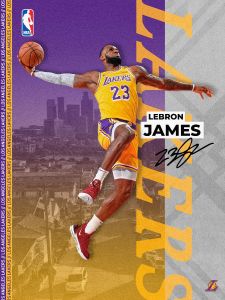 AG206 : 40x50cm Mounted Print : Lebron Signature Dunk - Lakers