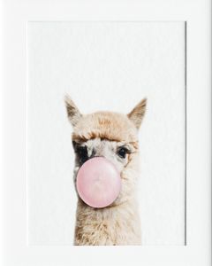 AG187 : 40x50cm Mounted Print - LLAMA BUBBLE