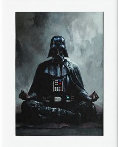 AG148 : 40x50cm Mounted Print - MEDIATION - DARTH VADAR