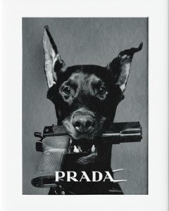 AG038 : 40x50cm Mounted Print -  PRADA DOG