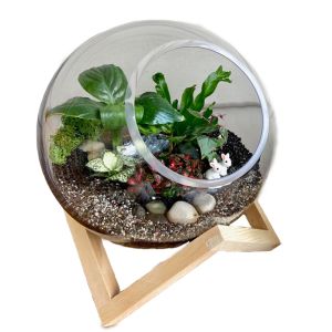 MV037-L : Dali Glass Ball atrium with wooden cubic stand - L (D25cm) 