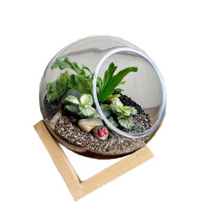 MV037-M : Dali Glass Ball atrium with wooden cubic stand - M (D20cm) **SOLDOUT**