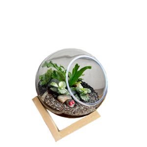 MV037-S : Dali Glass Ball atrium with wooden cubic stand - S (D15cm)