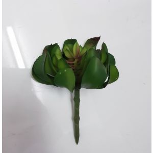 af155 : Crinkle Leaf succulent- green w/ red
